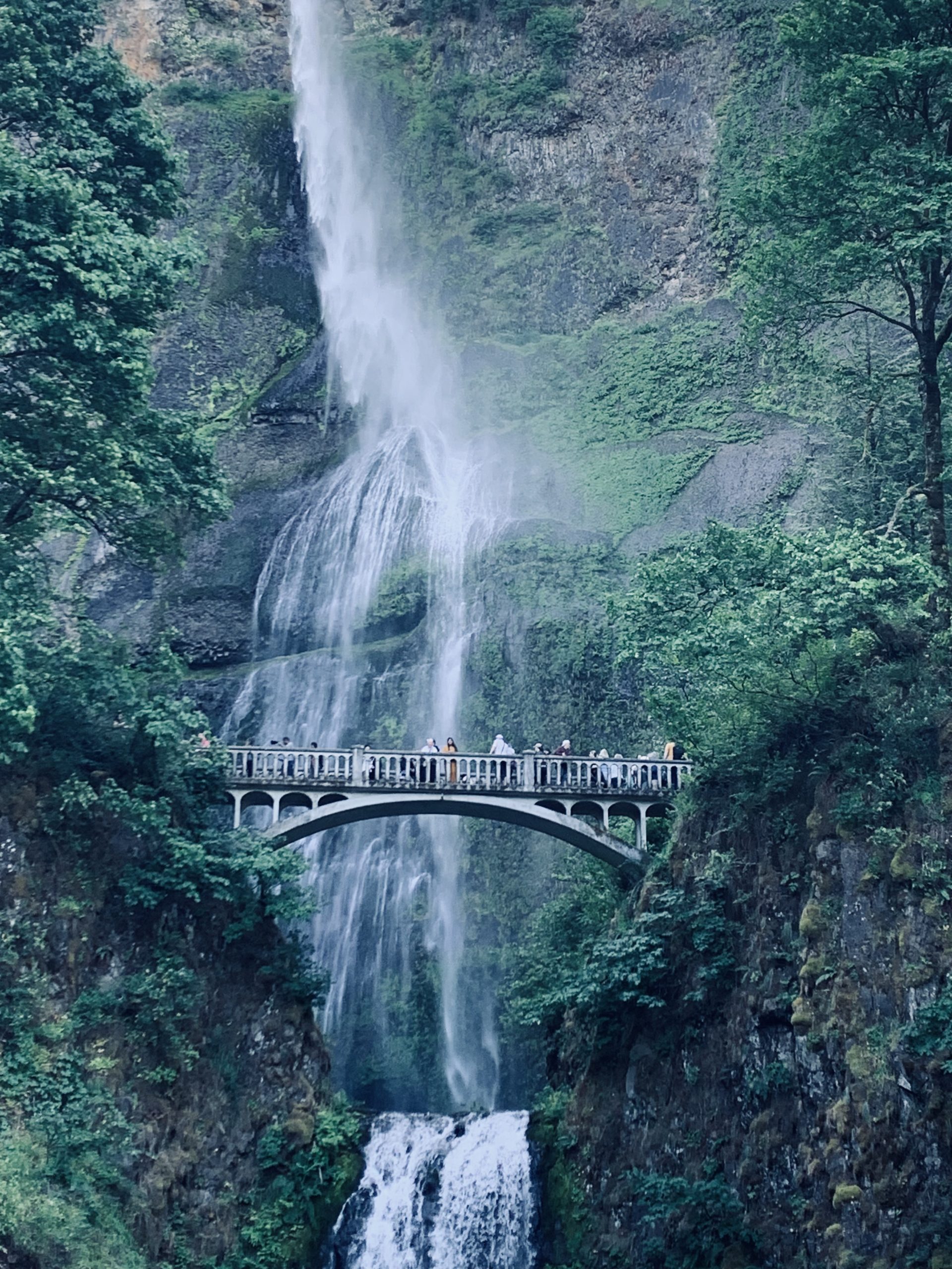 Bridge in front of large waterfall in Oregon